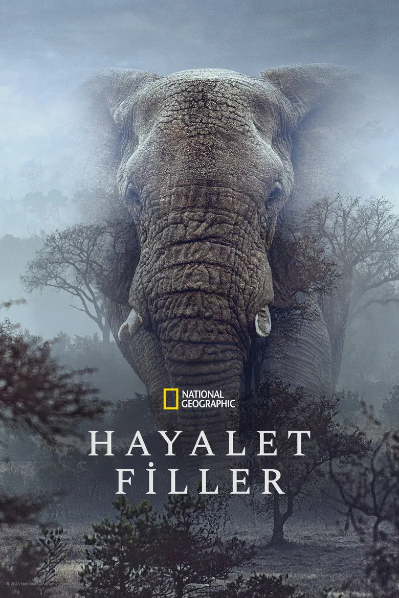 Hayalet Filler Film izle