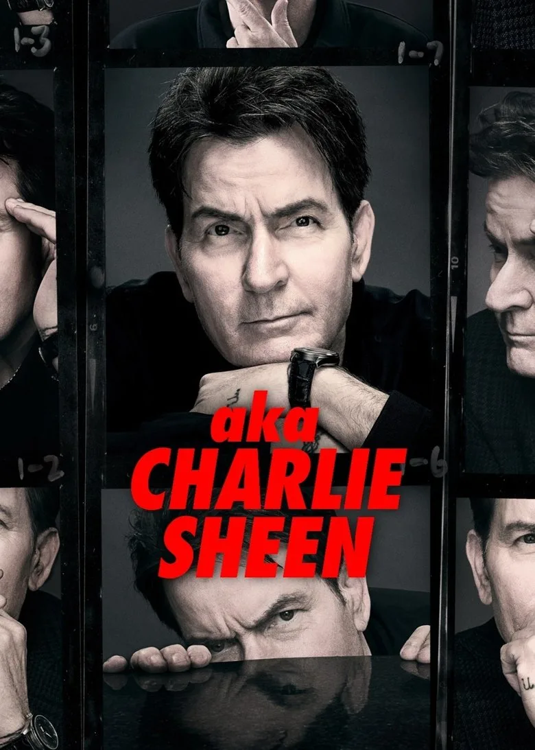 Namıdiğer Charlie Sheen Dizi izle