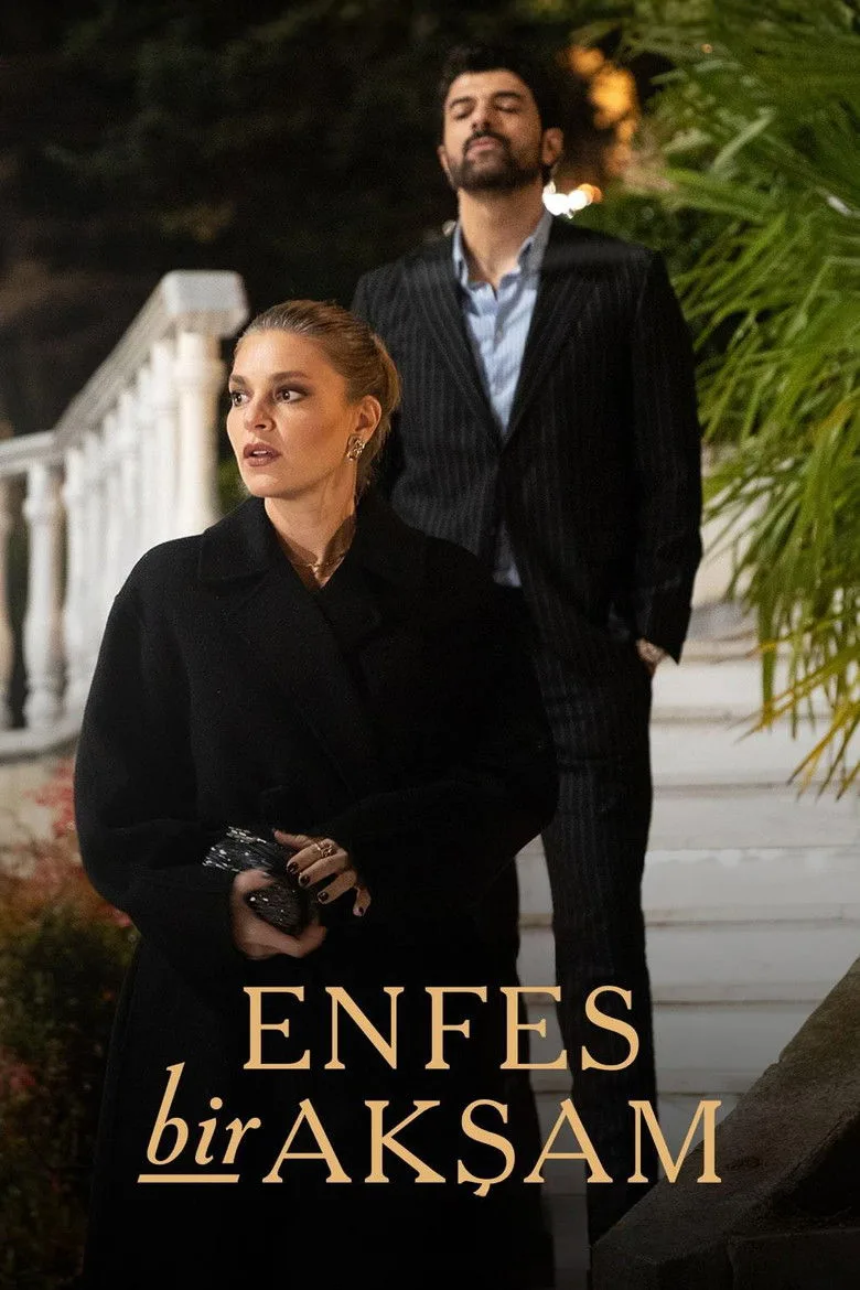 Enfes Bir Akşam Dizi izle