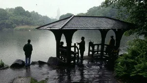 Central Park Cinayeti