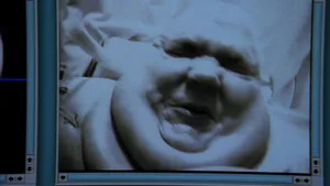 Her Şey Olacağına Varır