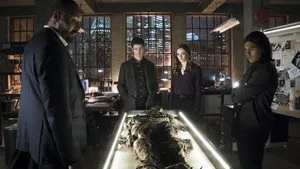 Who Is Harrison Wells?